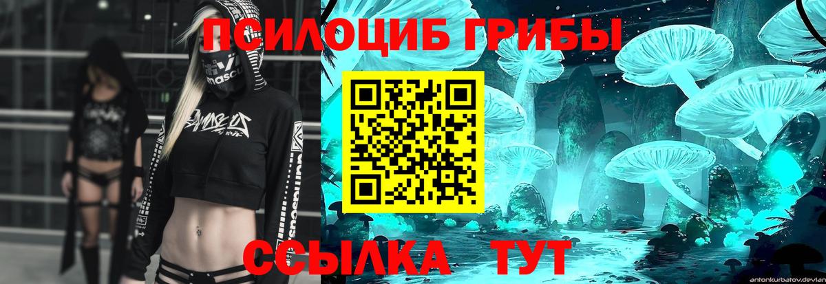 Котлас  Галлюциногенные грибы Psilocybe  Вход с VPN 