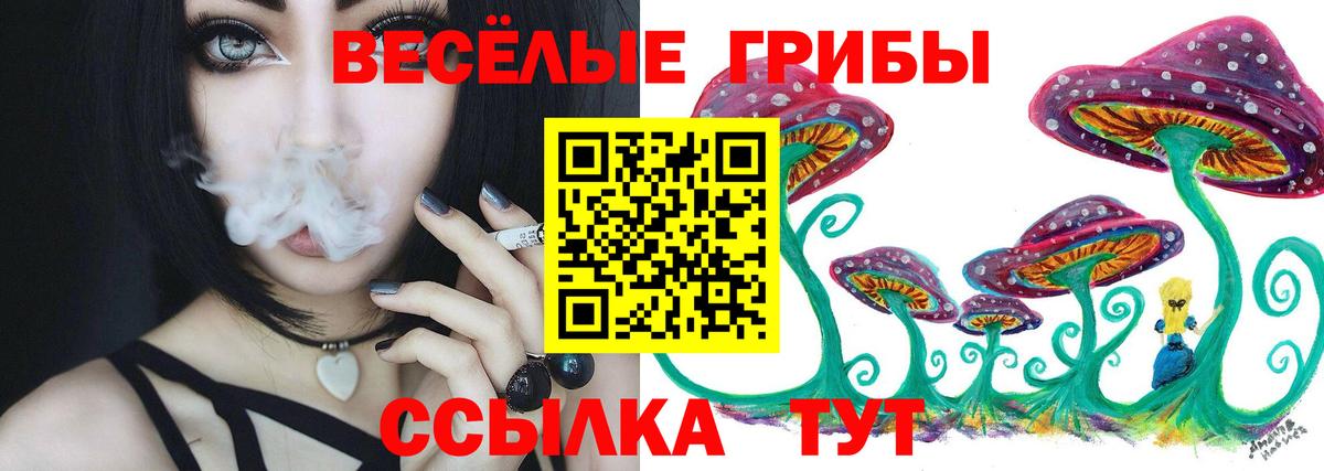 Галлюциногенные грибы GOLDEN TEACHER Котлас